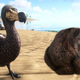 Illustration for article titled iArk: Survival Evolved/i Added Poop To Avoid Putting In A Suicide Key